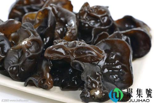 梧桐树上的木耳能吃吗
