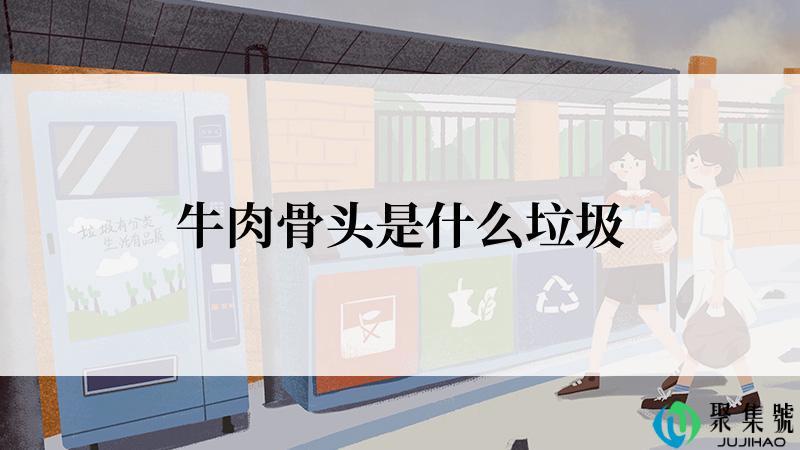 牛肉骨头是什么垃圾