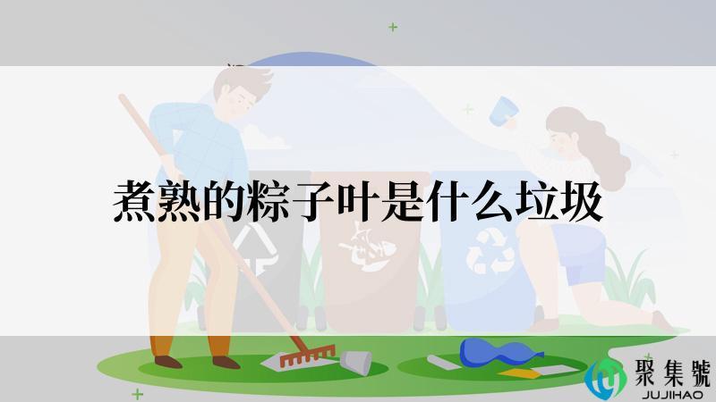 煮熟的粽子叶是什么垃圾