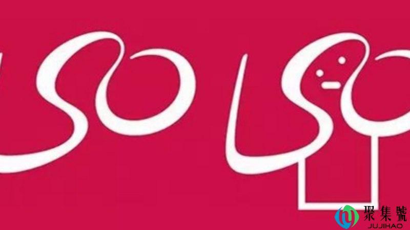 lso是什么意思