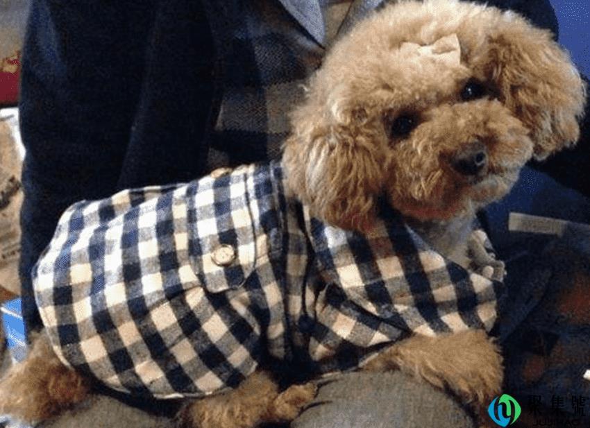 怎么做狗狗衣服