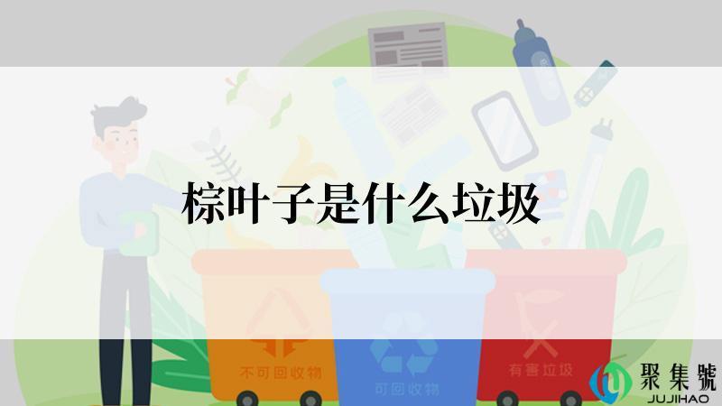 棕叶子是什么垃圾