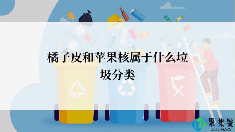 橘子皮和苹果核属于什么垃圾分类