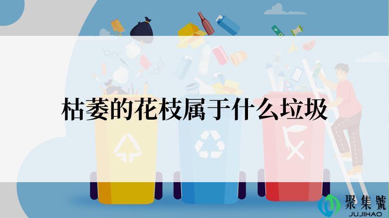 枯萎的花枝属于什么垃圾