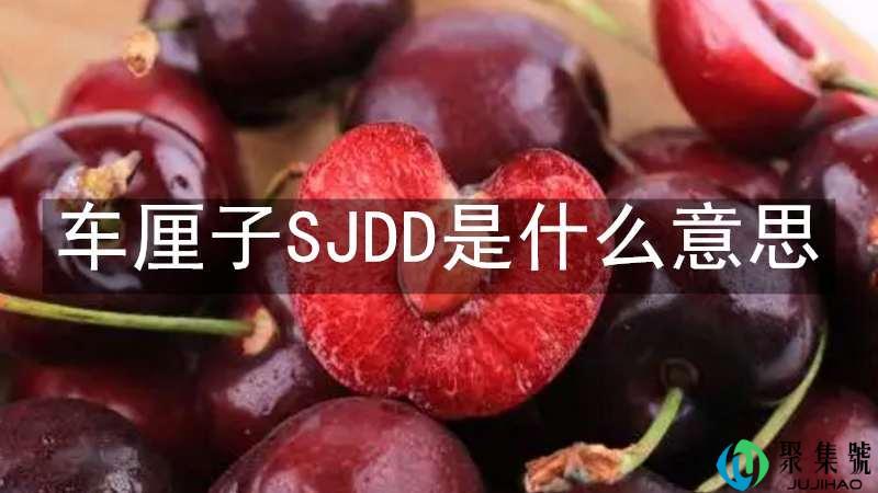车厘子SJDD是什么意思