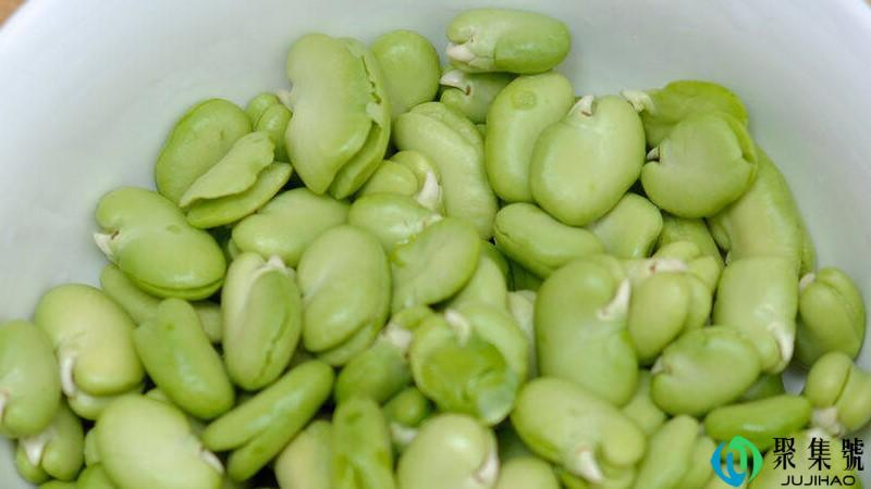 什么样的人不能吃蚕豆