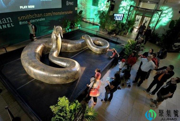 巨蟒的缠绕力有多少吨