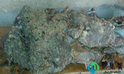 长春怪肉是什么