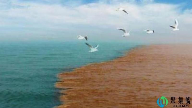 黄河与大海交接处在哪里