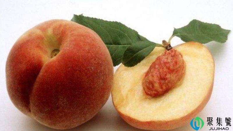 果核是干垃圾还是湿垃圾