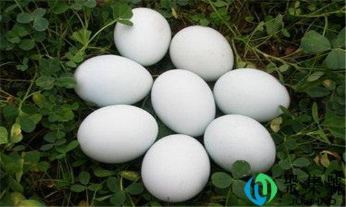 腌一百个鸭蛋需要多少盐和水