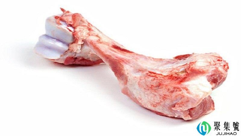 猪骨属于什么垃圾