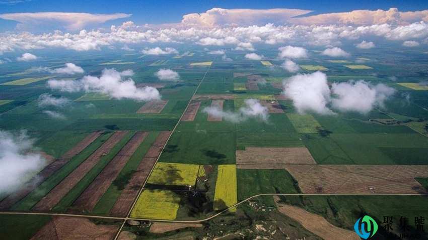 一公顷等于多少亩