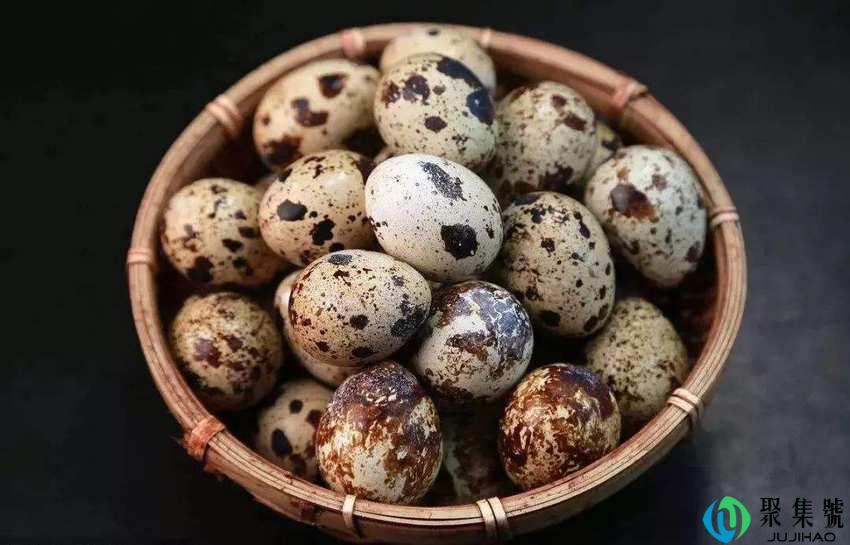 生鹌鹑蛋保质期多久