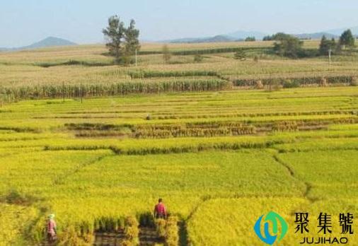 一亩地等于多少平方