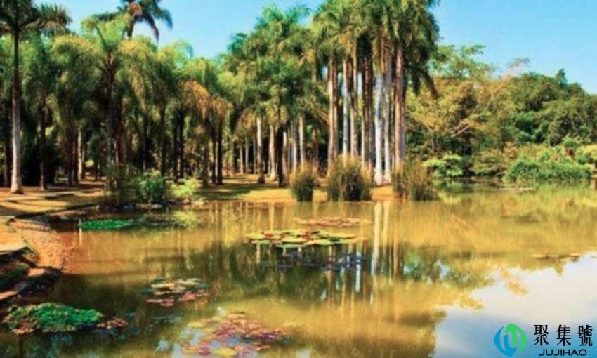 西双版纳夏天热吗