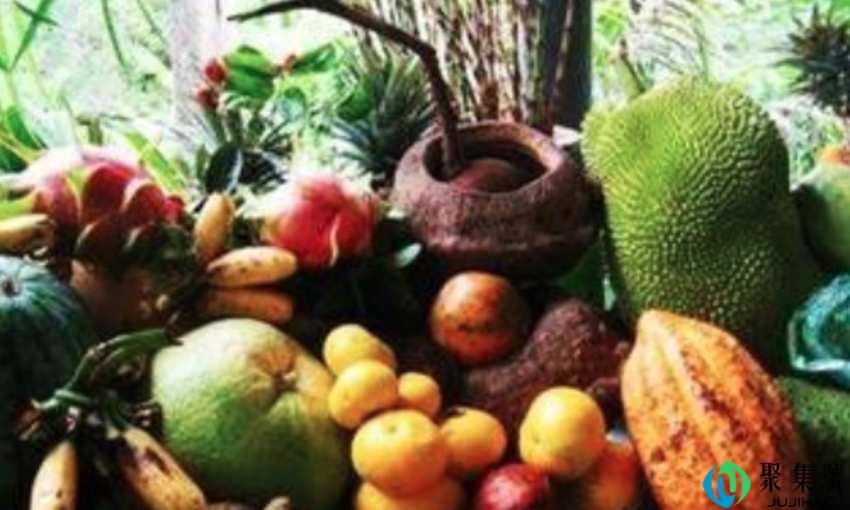 西双版纳特产水果是什么