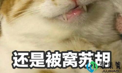 苏胡是什么意思