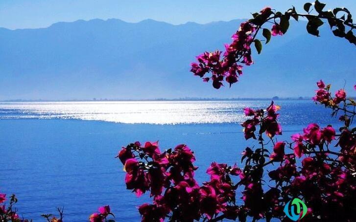 洱海的水源从哪里来