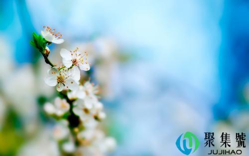 一问三不知三不知具体指什么