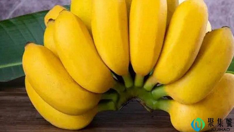 苹果蕉和小米蕉有什么区别