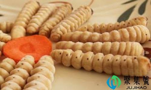 松毛虫蛹能吃吗有毒吗