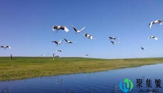 驾鹤西去乘愿再来是什么意思