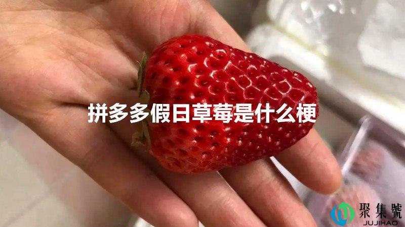 拼多多假日草莓是什么梗