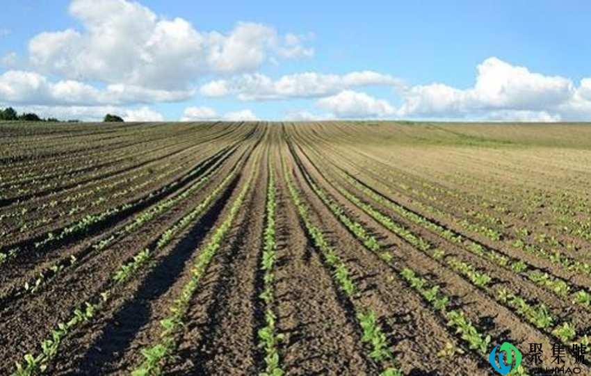 1公顷是多少平方米