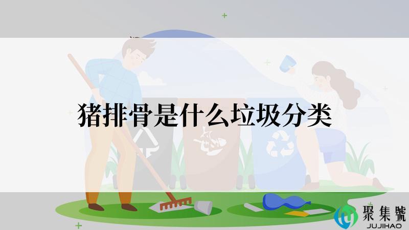 猪排骨是什么垃圾分类