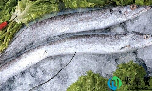 皇带鱼和带鱼的区别