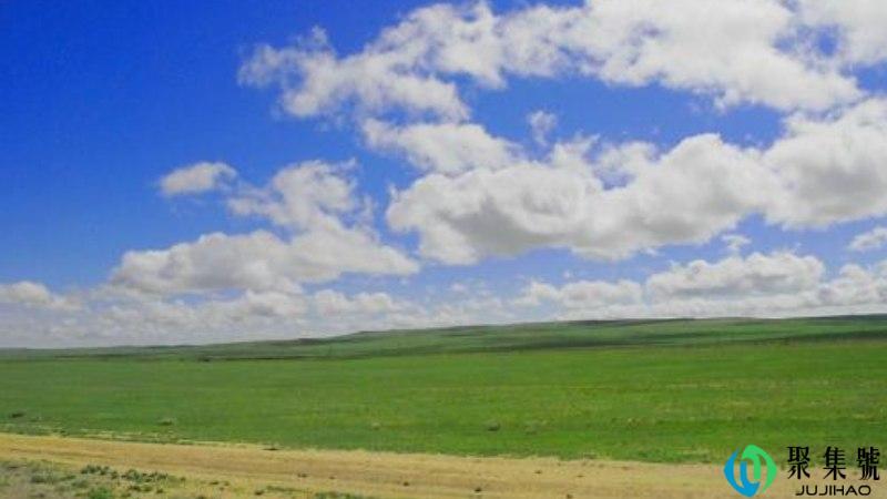 灰猴是什么意思