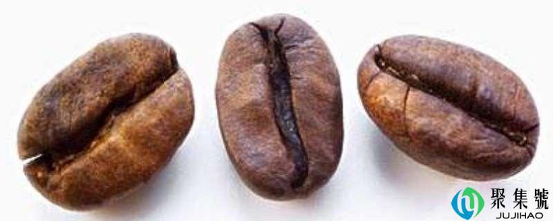 阿拉比卡豆和罗布斯塔豆的区别