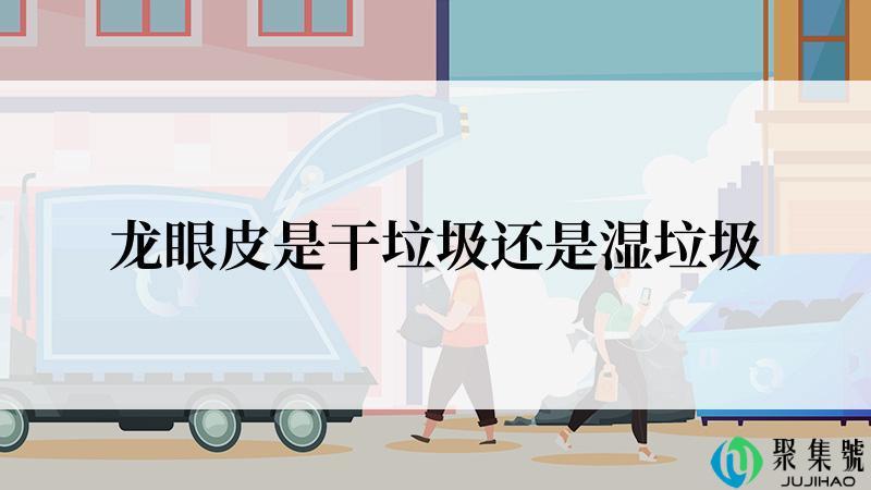 龙眼皮是干垃圾还是湿垃圾
