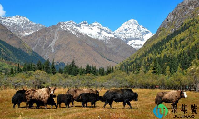 四川西部是指哪些地方