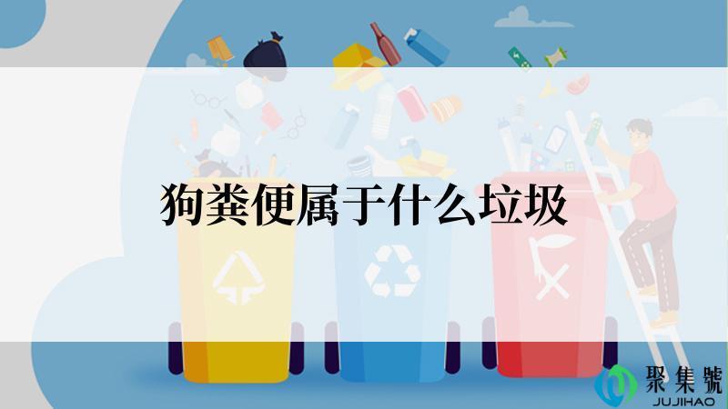 狗粪便属于什么垃圾