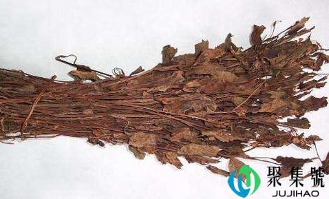 干鱼腥草煮水正确方法