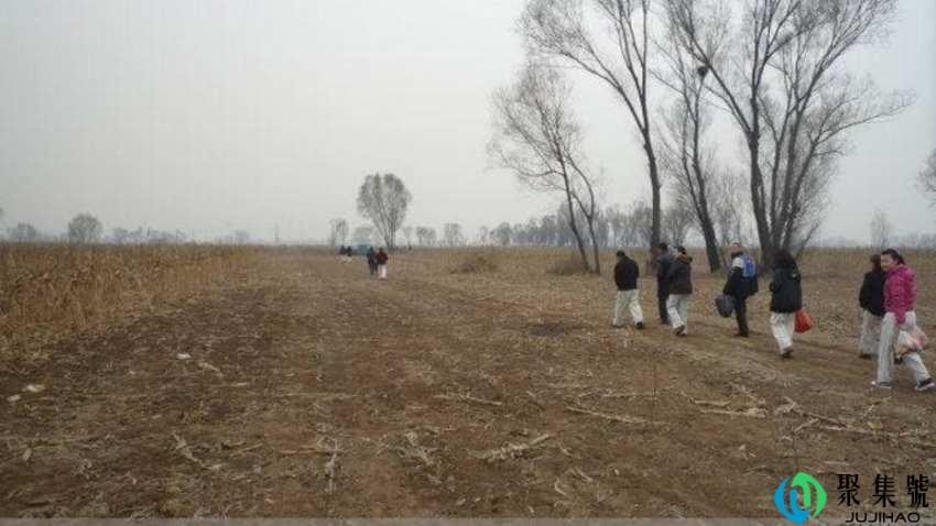 新坟多久可以栽树