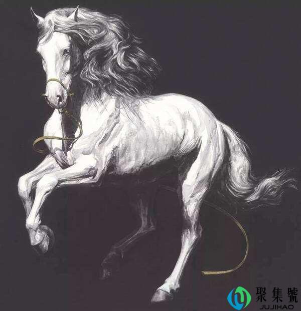 白驹过隙是什么动物