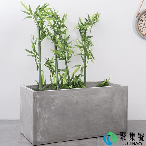 适合长方形花盆的植物