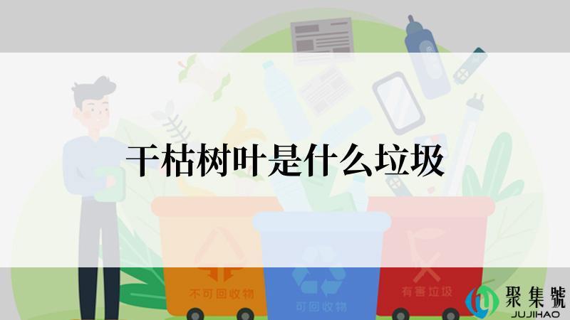 干枯树叶是什么垃圾