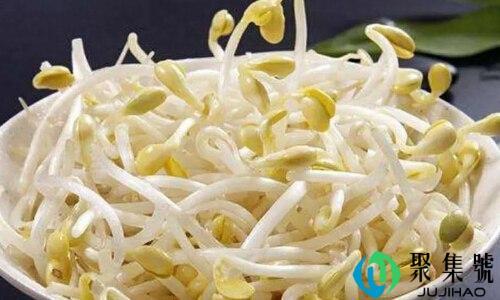 怎样辨别无根豆芽