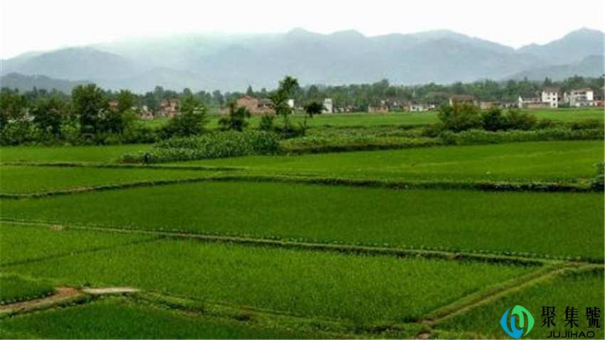 一亩等于多少平米