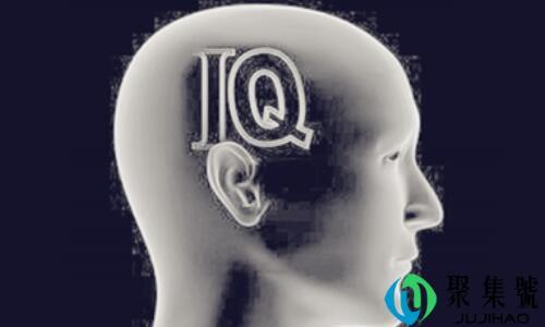 智商过剩是什么意思