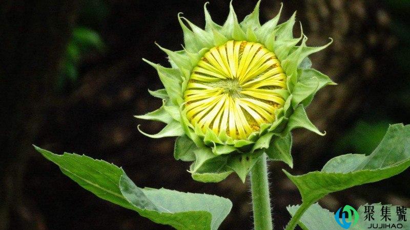 别人说烦怎么幽默回复