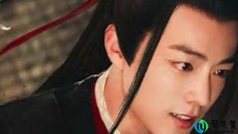 陈情女孩什么意思