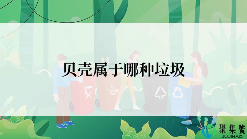 贝壳属于哪种垃圾