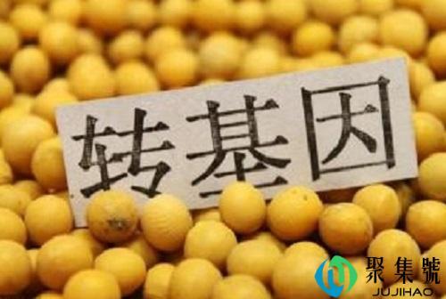 如何看待转基因食品