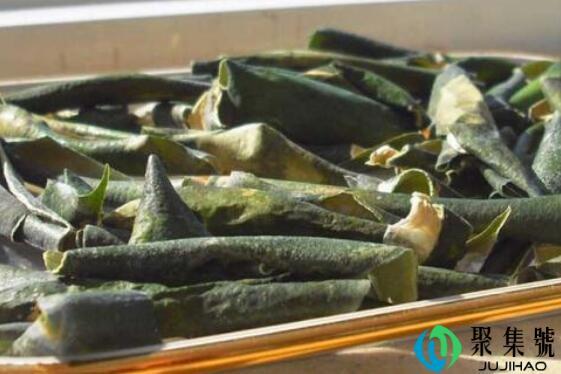 冬瓜皮的功效与作用冬瓜的营养攻效