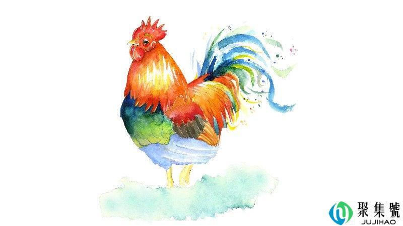 野草花是指什么生肖